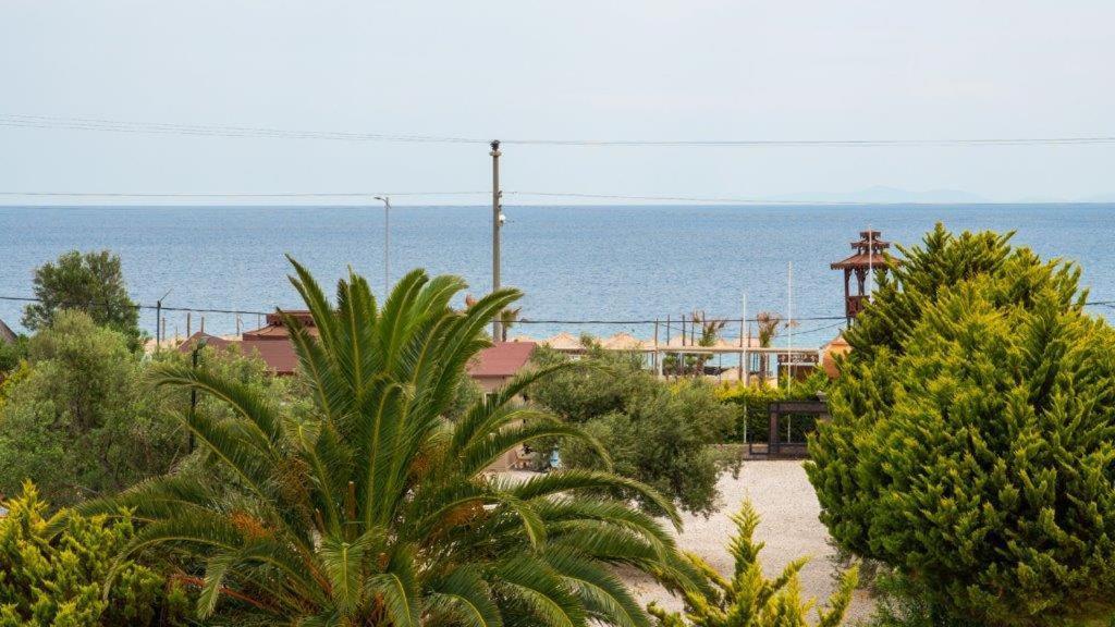 Club Kavala Beach Hotel Assos Zewnętrze zdjęcie